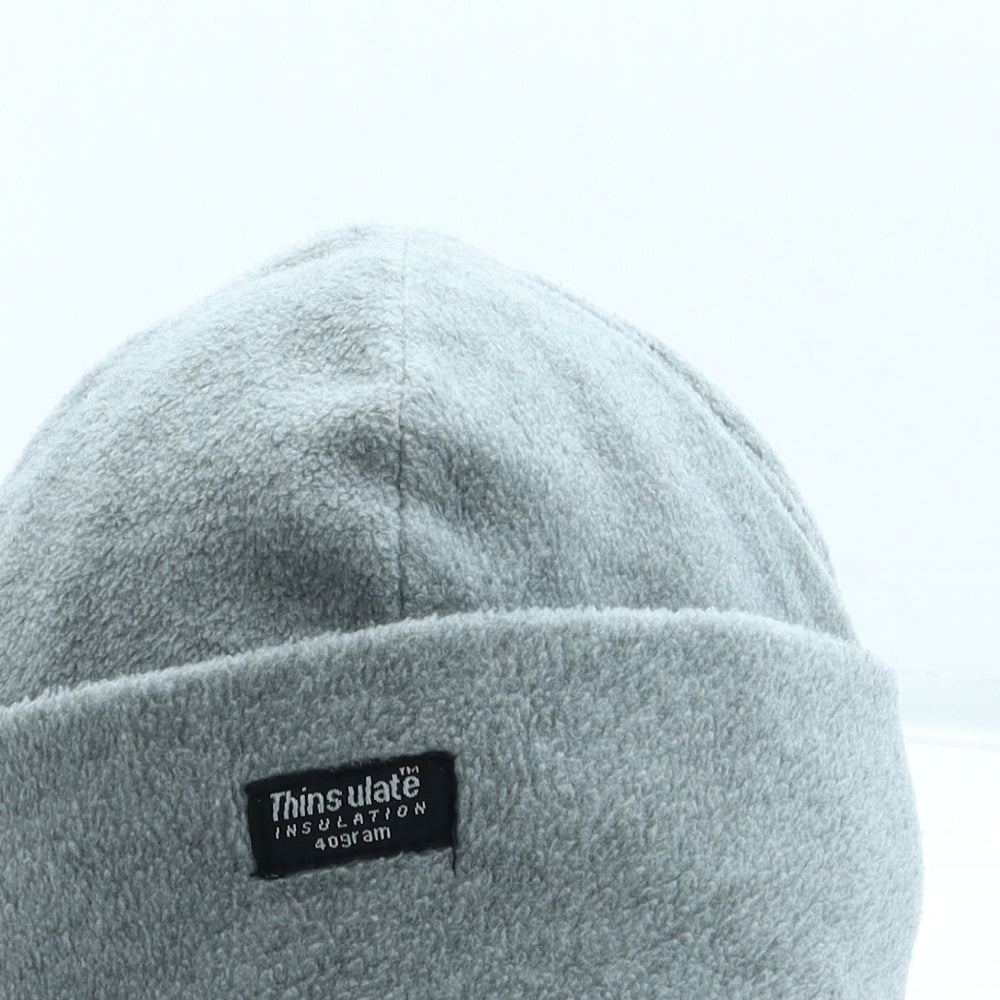 Thinsulate Mens Grey Polyester Beanie One Size
