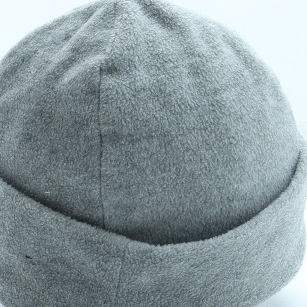 Thinsulate Mens Grey Polyester Beanie One Size