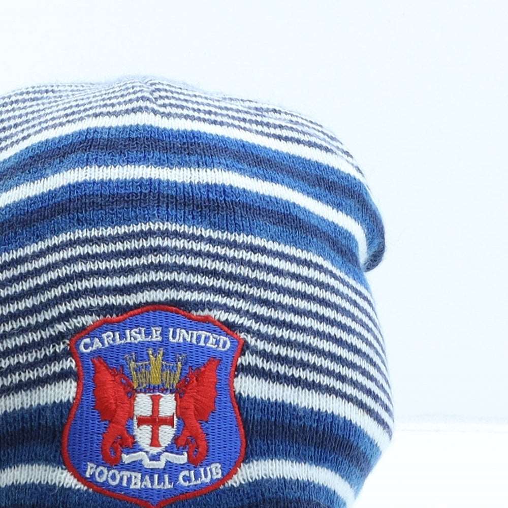Heritage Leisure Design Mens Blue Striped Acrylic Beanie One Size - Carlisle