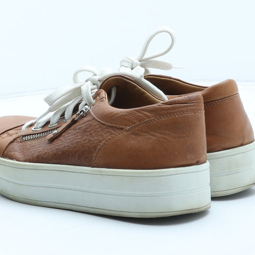 Moda in Pelle Womens Brown Geometric Synthetic Trainer UK
