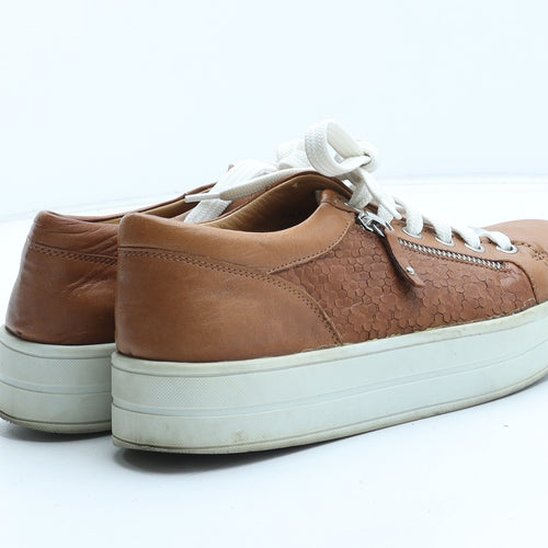 Moda in Pelle Womens Brown Geometric Synthetic Trainer UK