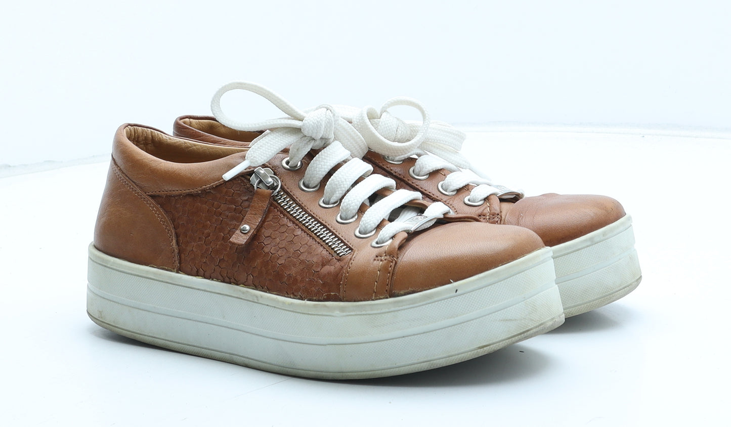 Moda in Pelle Womens Brown Geometric Synthetic Trainer UK