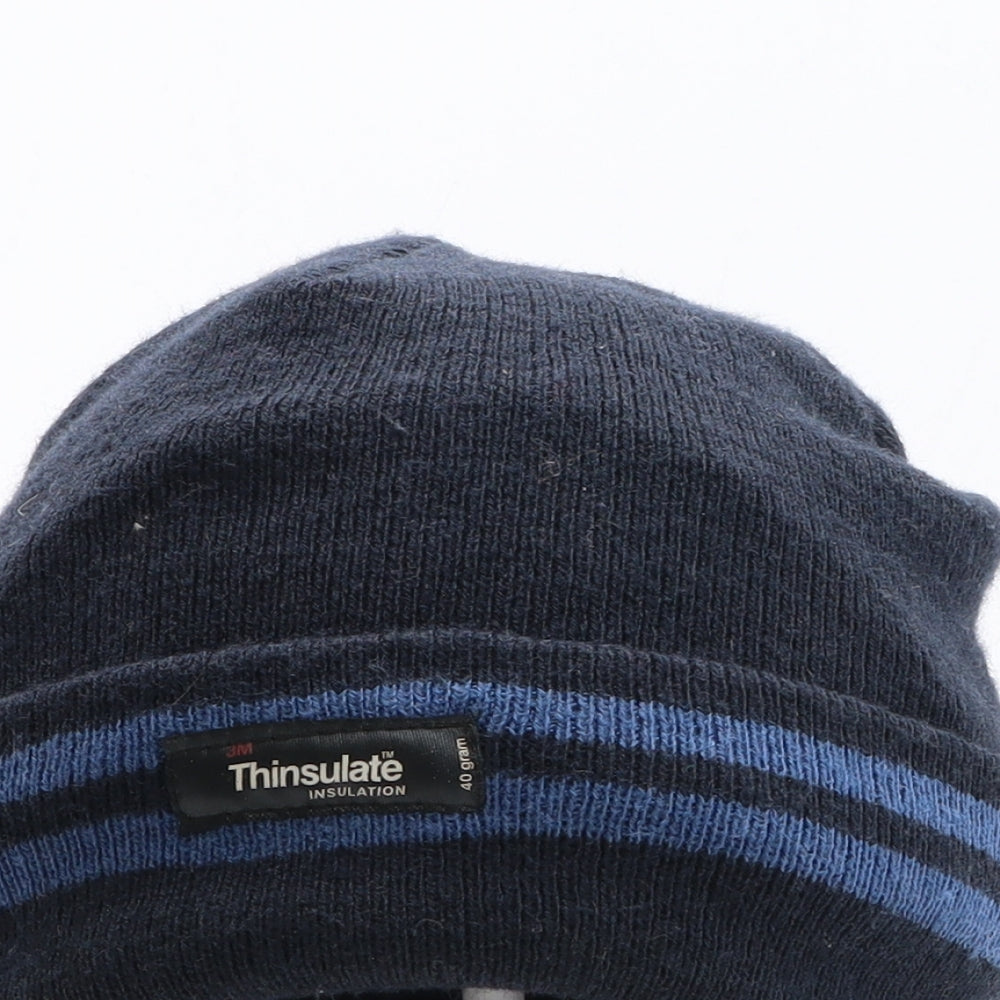Thinsulate Mens Blue Striped Acrylic Beanie One Size