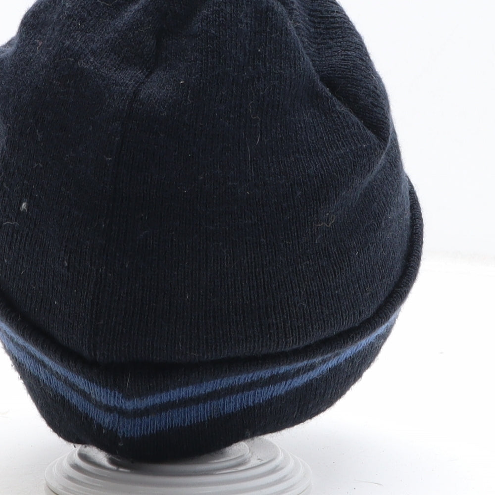 Thinsulate Mens Blue Striped Acrylic Beanie One Size