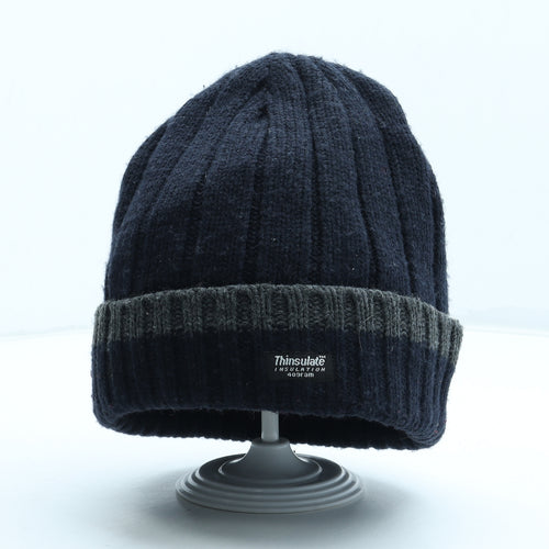 Thinsulate Mens Blue Acrylic Beanie One Size