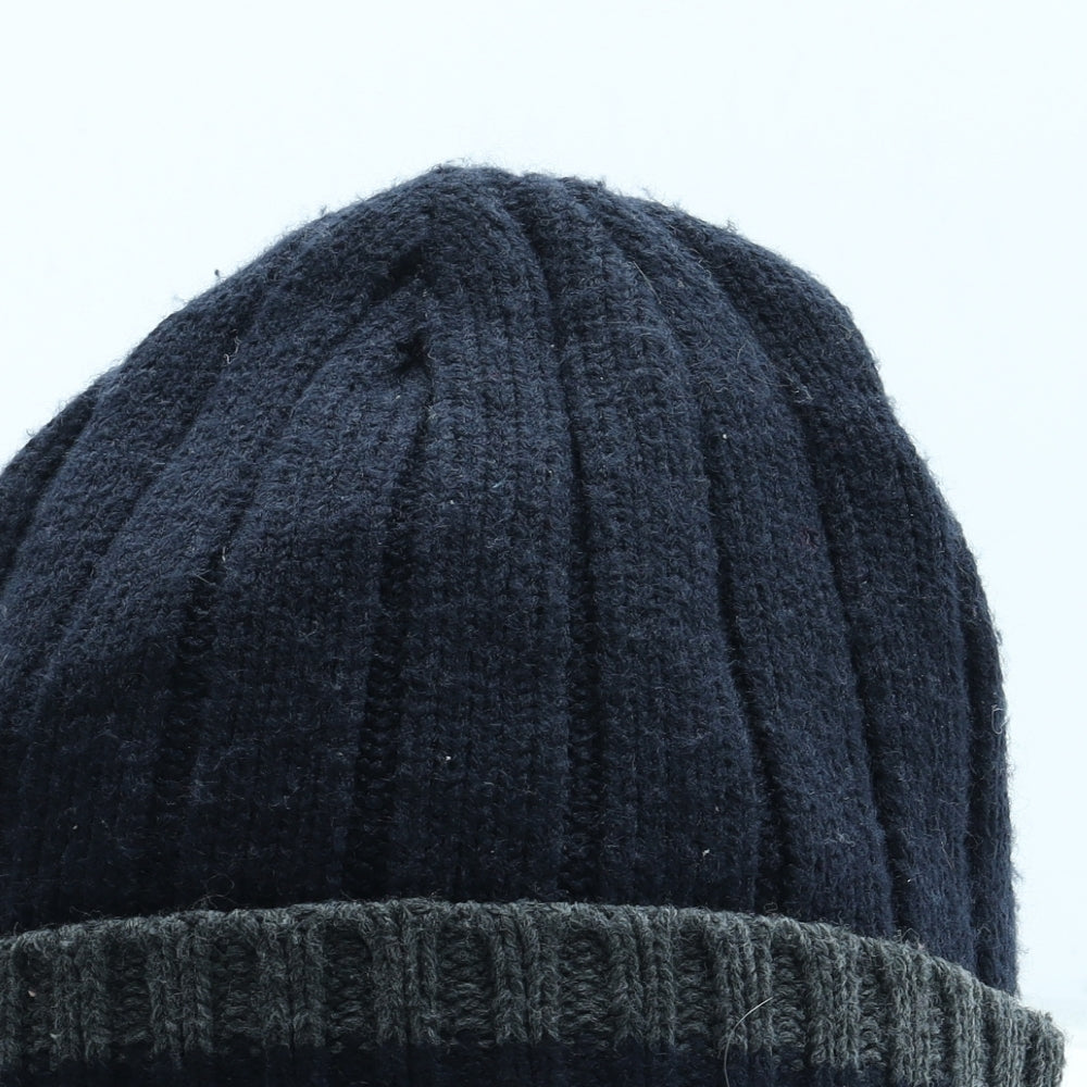 Thinsulate Mens Blue Acrylic Beanie One Size