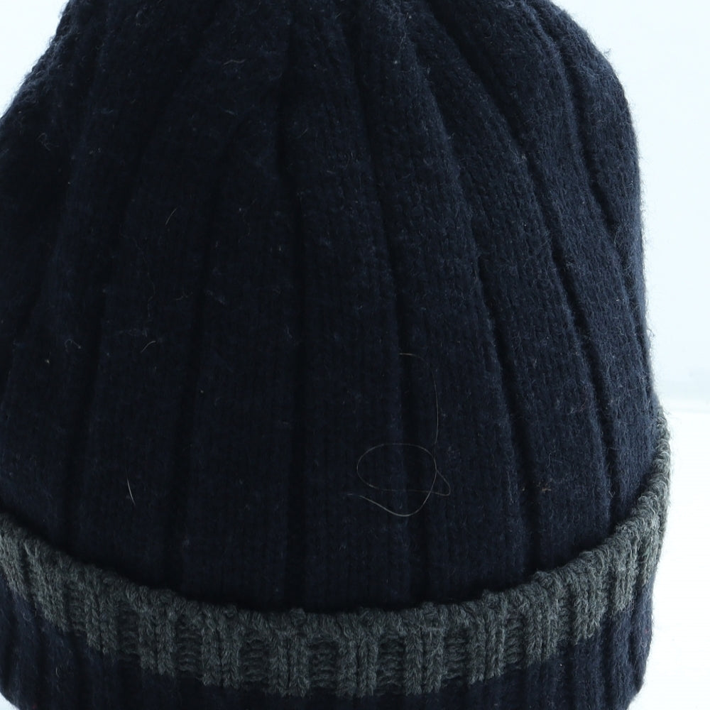 Thinsulate Mens Blue Acrylic Beanie One Size