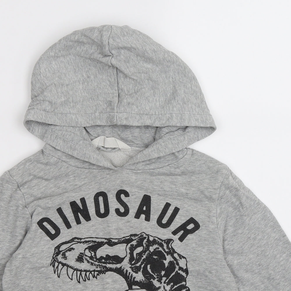 H&M Boys Grey  Jersey Pullover Hoodie Size 5-6 Years  - dinosaur