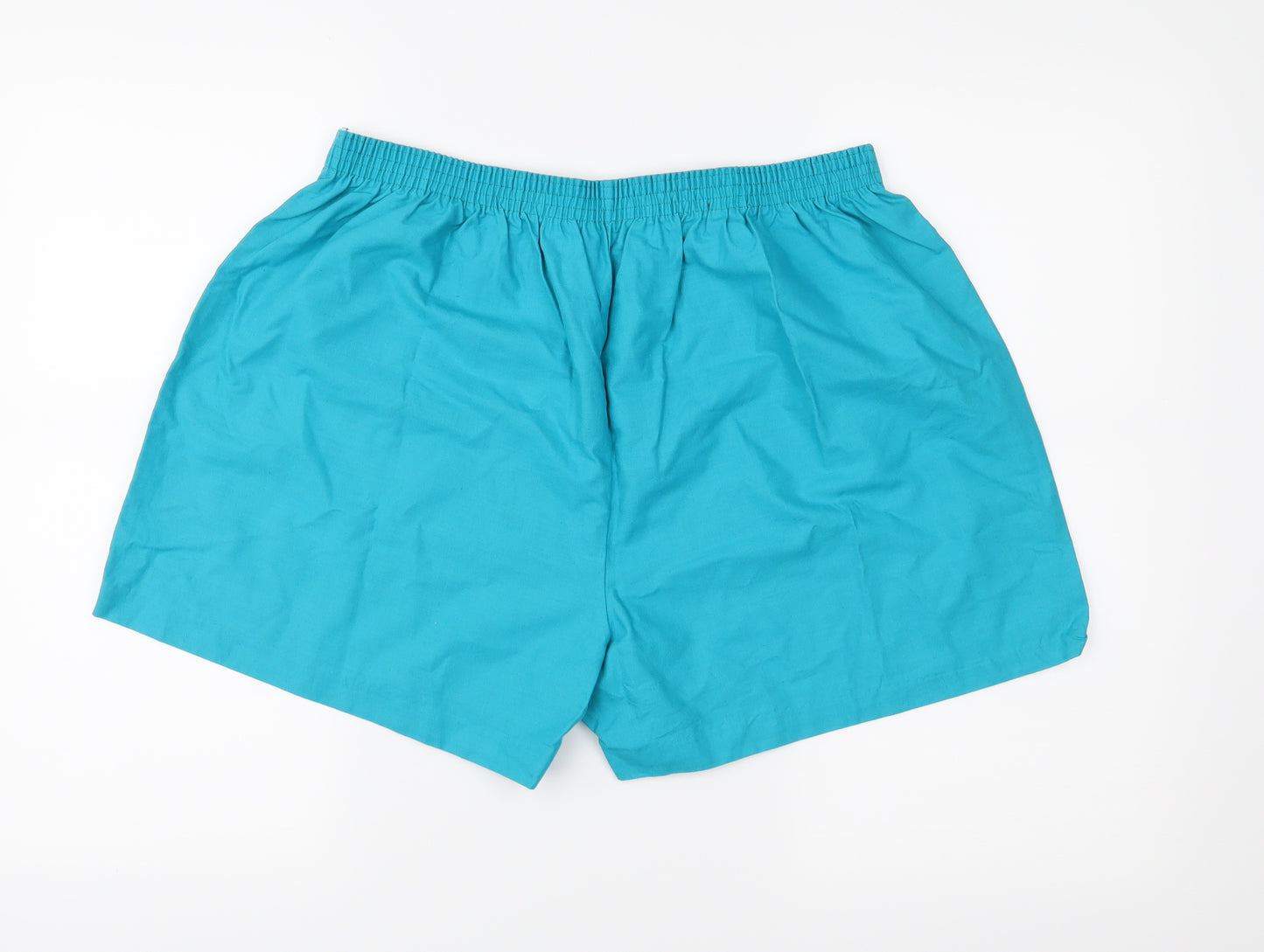 Preworn Womens Blue    Shorts Size 24