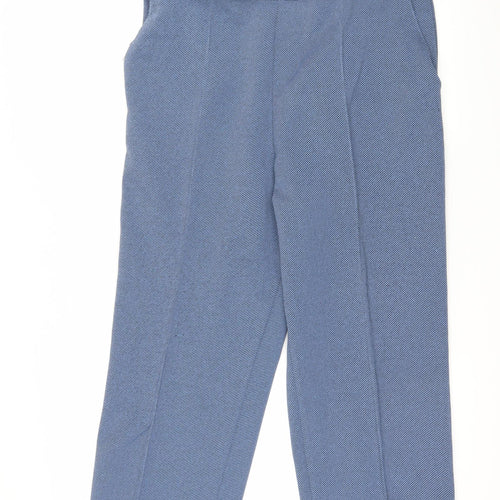 Preworn Womens Blue Striped  Trousers  Size 36 in L25 in