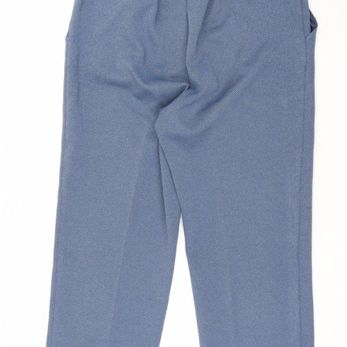 Preworn Womens Blue Striped  Trousers  Size 36 in L25 in