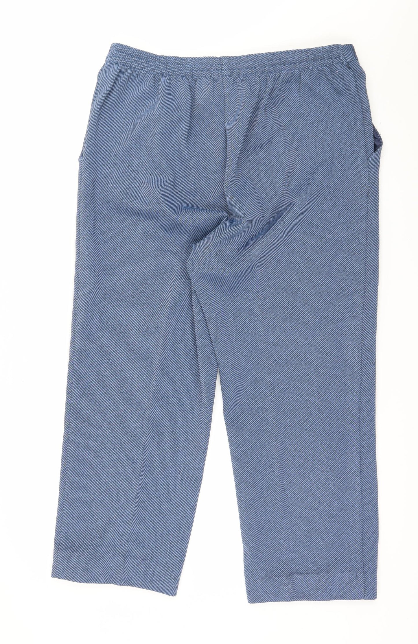 Preworn Womens Blue Striped  Trousers  Size 36 in L25 in