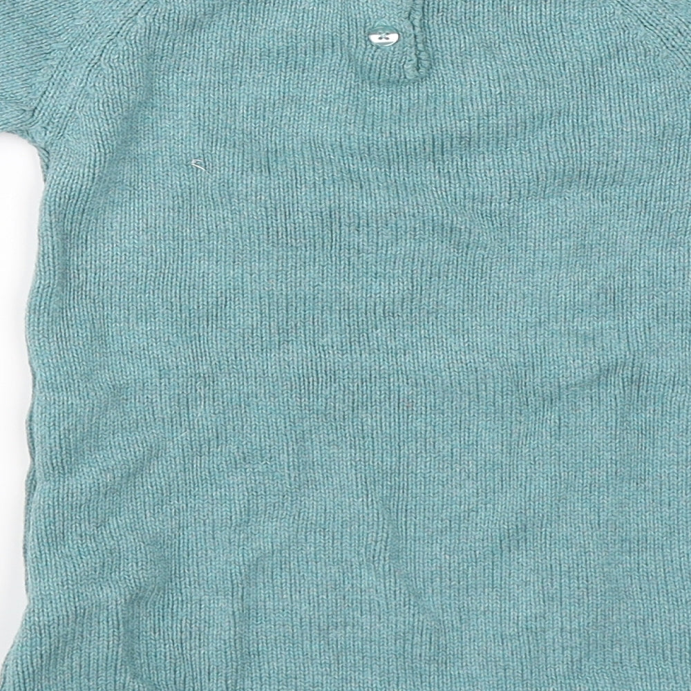 NEXT Girls Blue   Jumper Dress  Size 12-18 Months  - Swan Print Dress