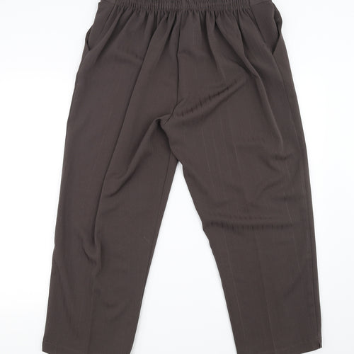 Preworn Womens Brown   Trousers  Size 22 in L25 in