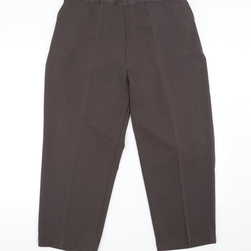 Preworn Womens Brown   Trousers  Size 22 in L25 in