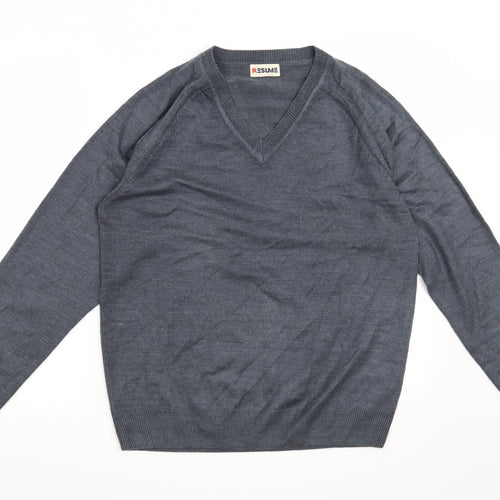 Resume Mens Blue   Pullover Jumper Size S