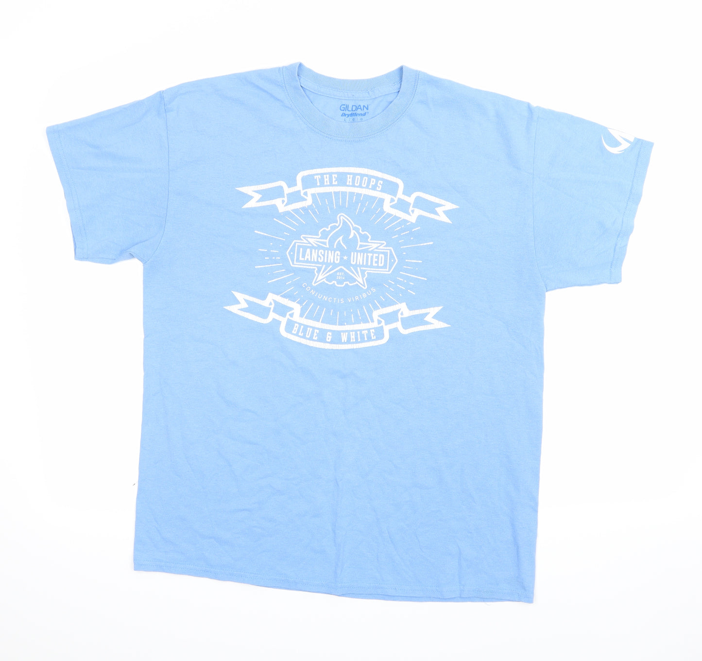 Gildan Mens Blue    T-Shirt Size L