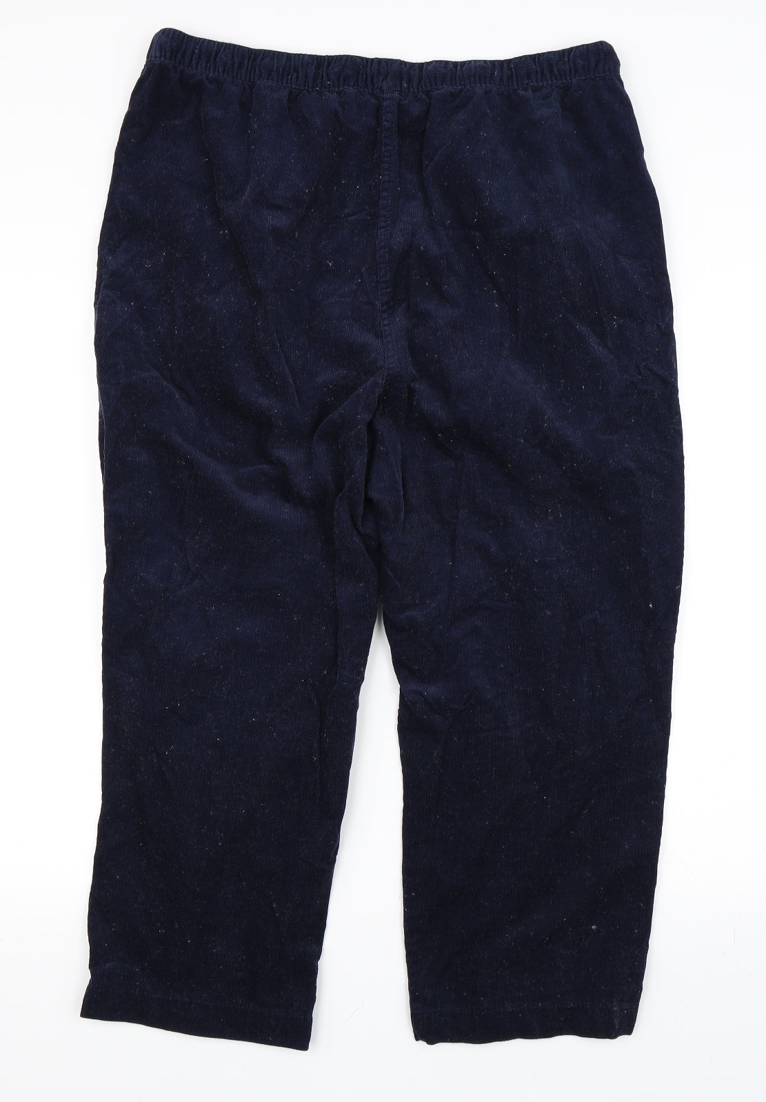 Isle Essentials Womens Blue   Cropped Trousers Size 20 L24 in