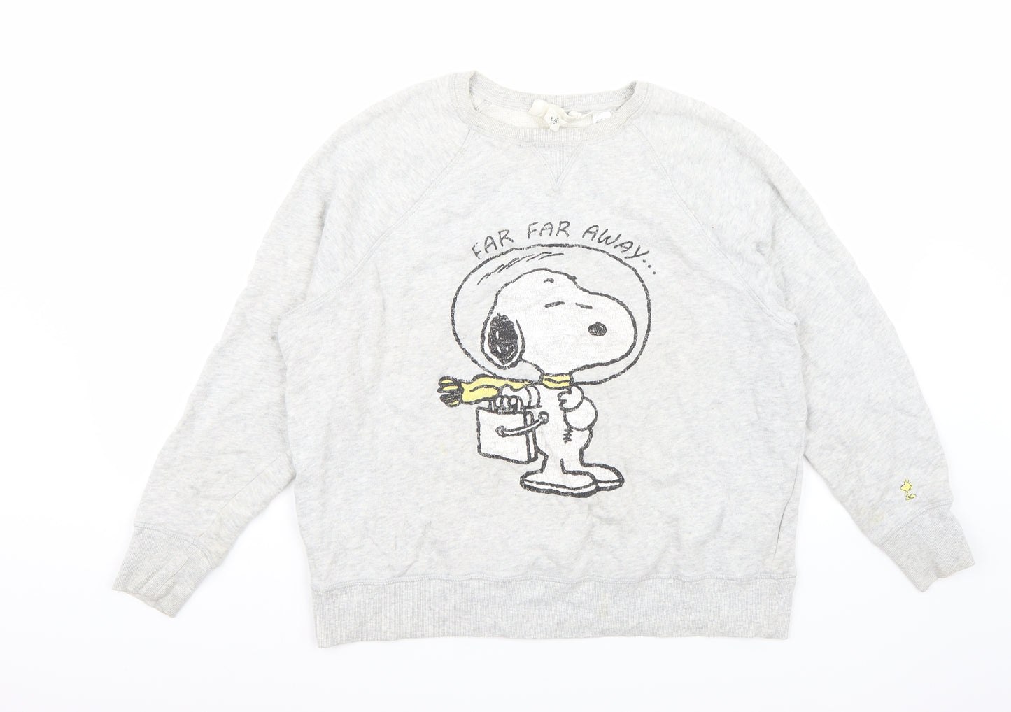 H&M Womens Grey   Pullover Jumper Size L