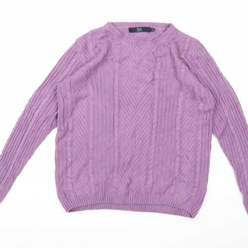 Isle Essentials Womens Purple  Knit Pullover Jumper Size 14