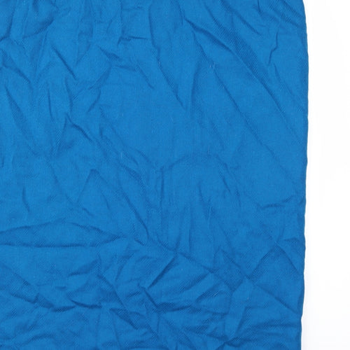 Preworn Womens Blue Herringbone  A-Line Skirt