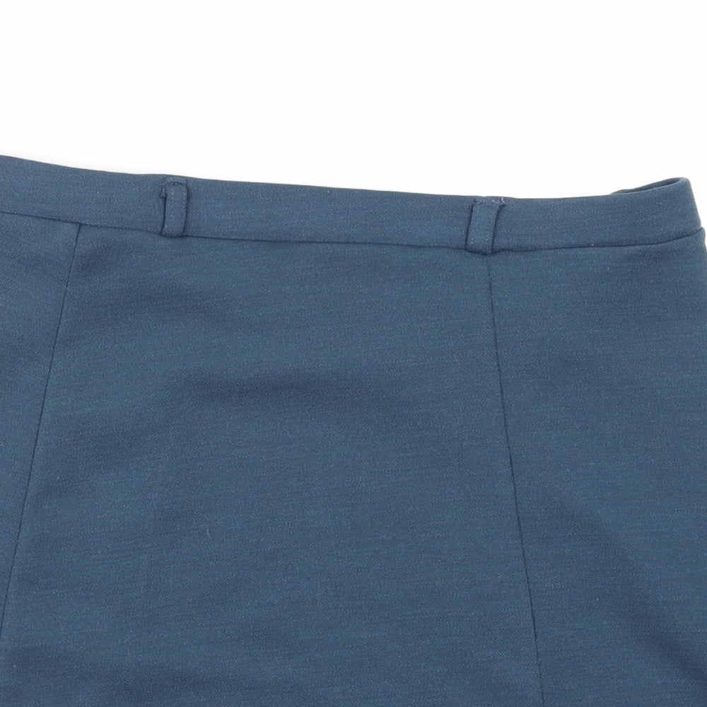 Preworn Womens Blue   A-Line Skirt