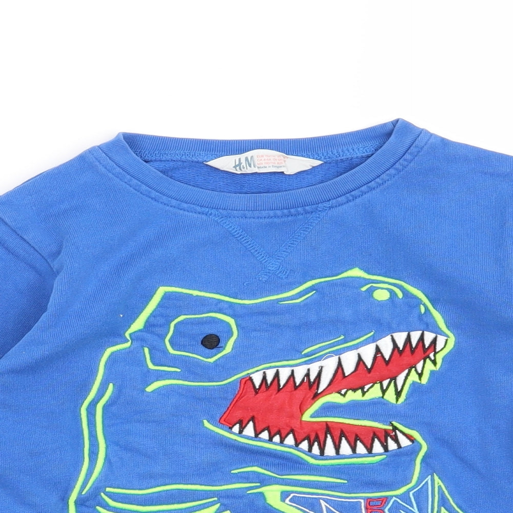 H&M Boys Blue   Pullover Sweatshirt Size 5-6 Years  - Dinosaur