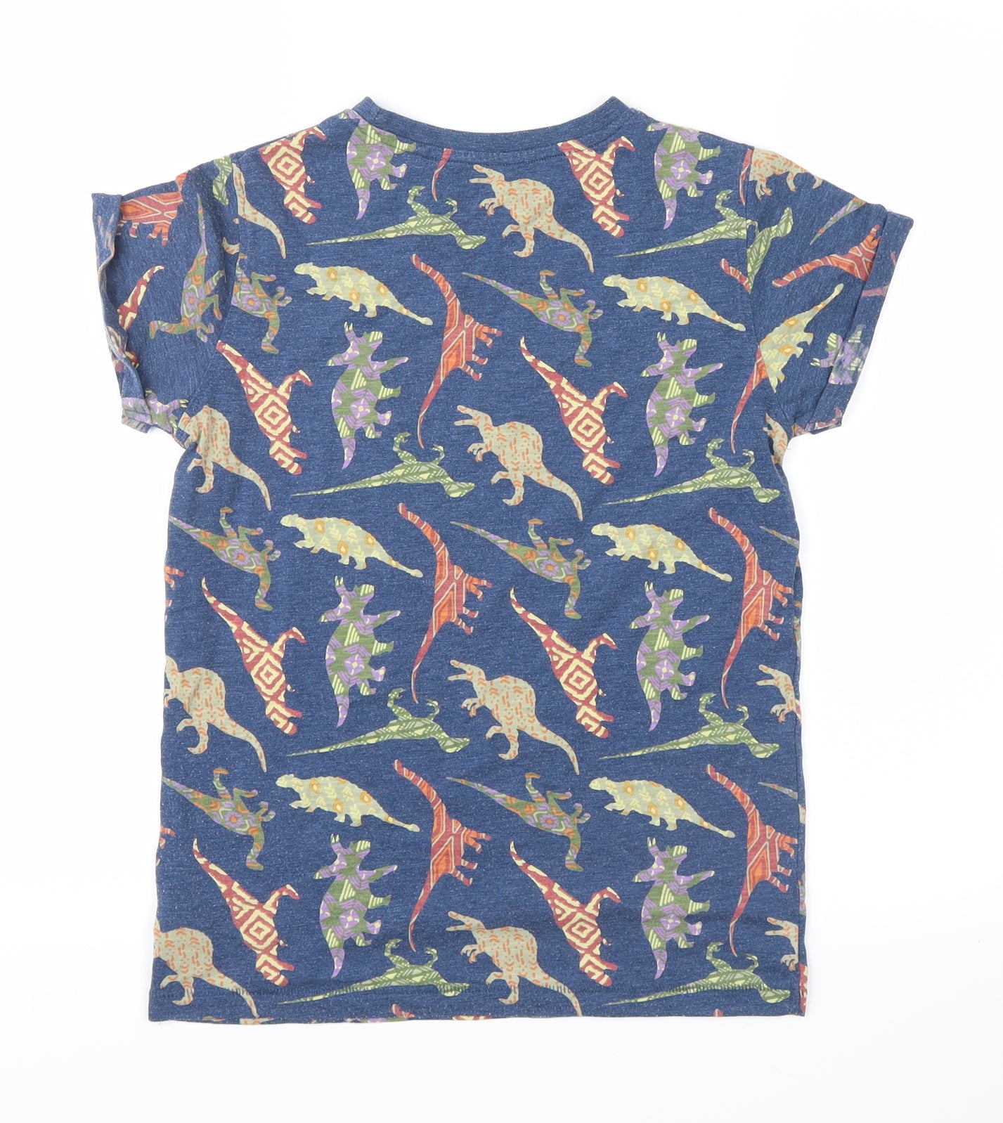 NEXT Boys Blue   Basic T-Shirt Size 8-9 Years  - dinosaurs