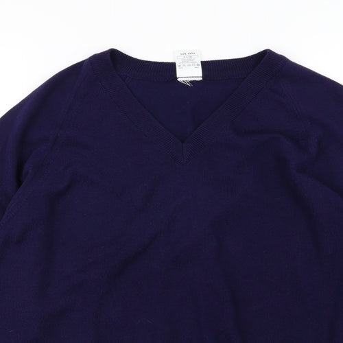 Classics Mens Blue  Knit Pullover Jumper Size XL