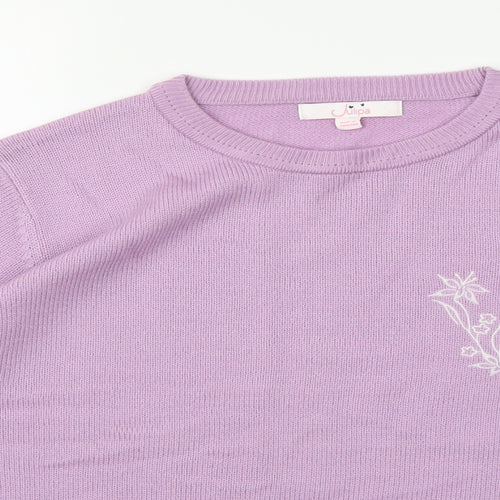 Julipa Womens Purple  Knit Pullover Jumper Size 16