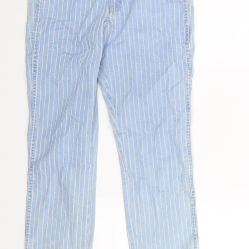 H&M Womens Blue Striped Denim Skinny Jeans Size 27 in L29 in