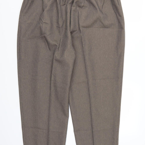 Berkertex Womens Brown  Rayon Trousers  Size 20 L24 in