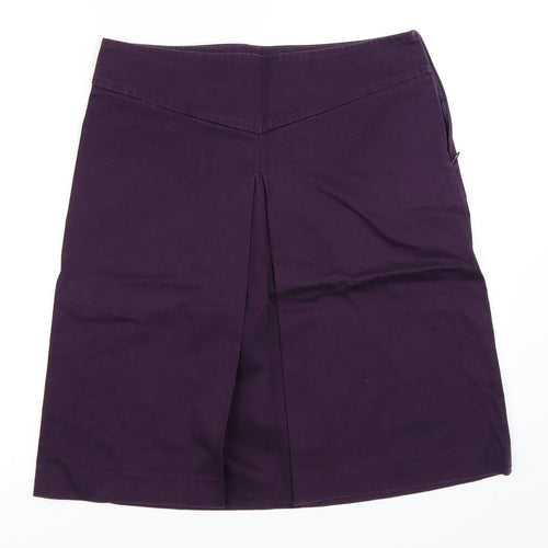 Zara Womens Purple   A-Line Skirt Size M