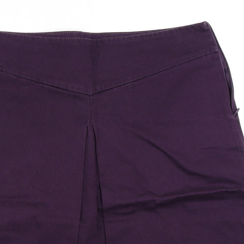 Zara Womens Purple   A-Line Skirt Size M