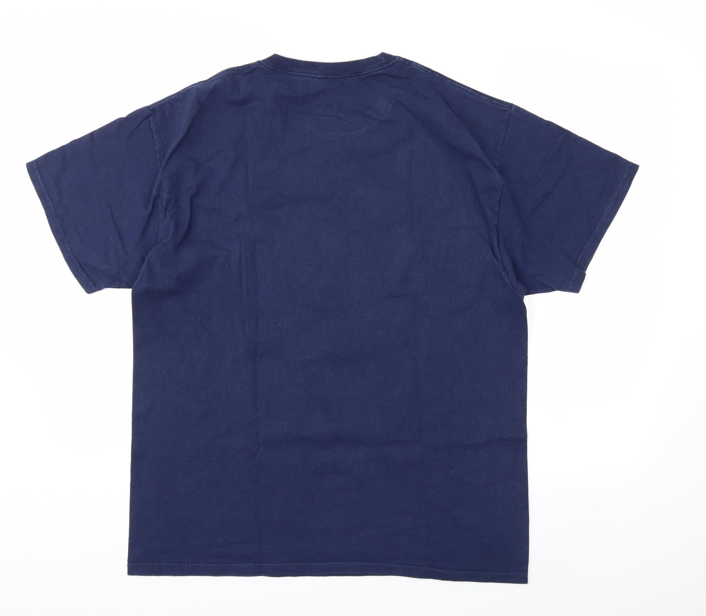 Hanes Mens Blue    T-Shirt Size L