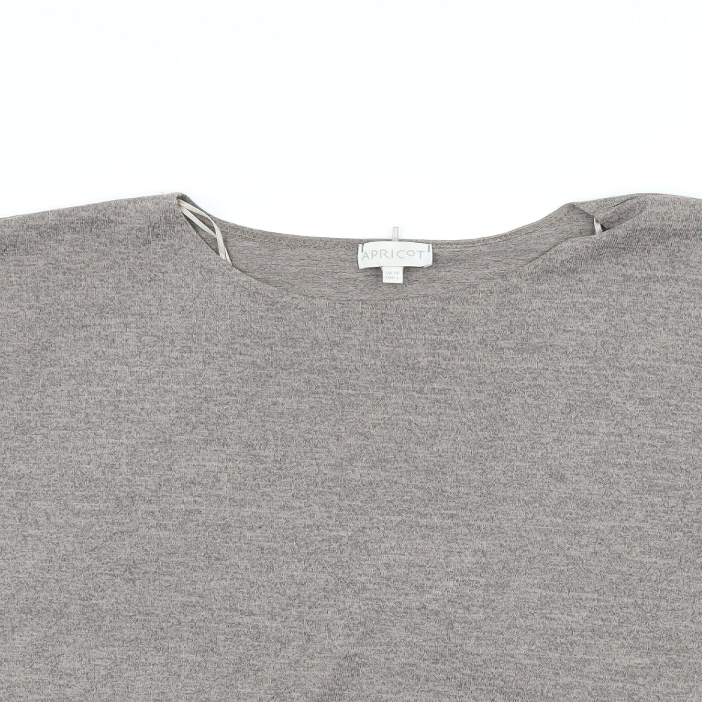 Apricot Womens Brown   Basic T-Shirt Size 14