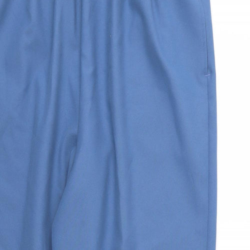 BonWorth Womens Blue  Rayon Trousers  Size XL L29 in