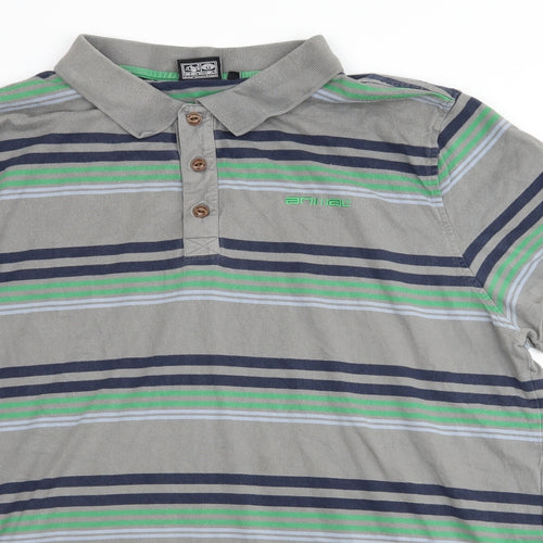 Animal Mens Grey Striped   Button-Up Size XL