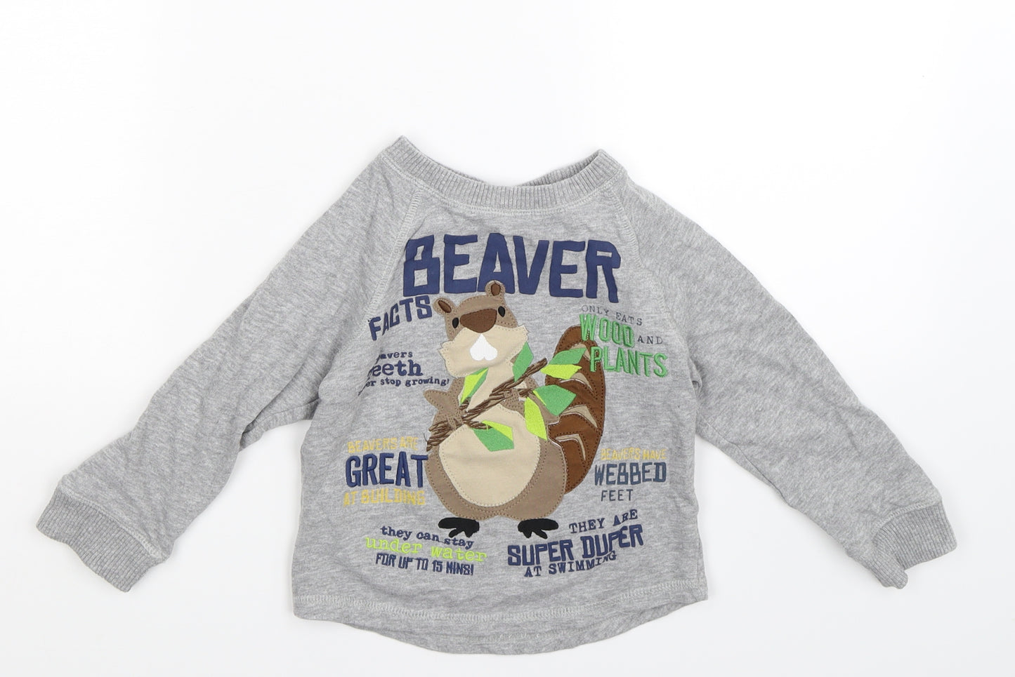 Mini Club Boys Grey   Pullover Sweatshirt Size 3-4 Years
