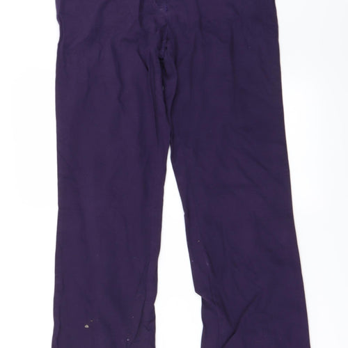 Preworn Womens Purple   Straight Jeans Size 28 in L29 in