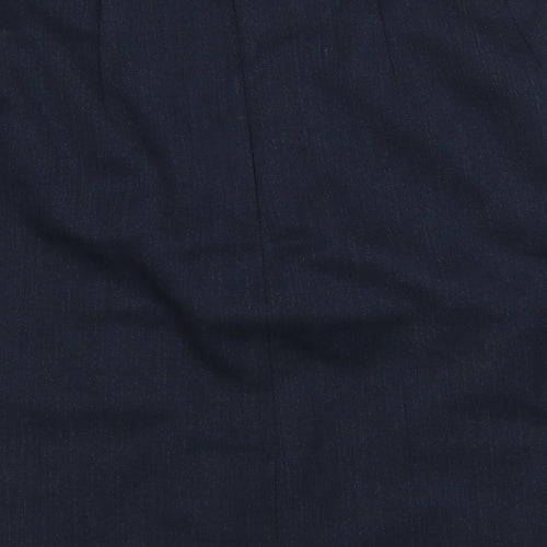 Preworn Womens Blue   A-Line Skirt