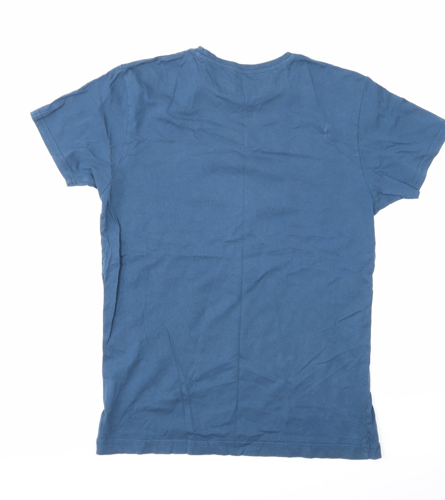 Cedar Wood State Mens Blue    T-Shirt Size S