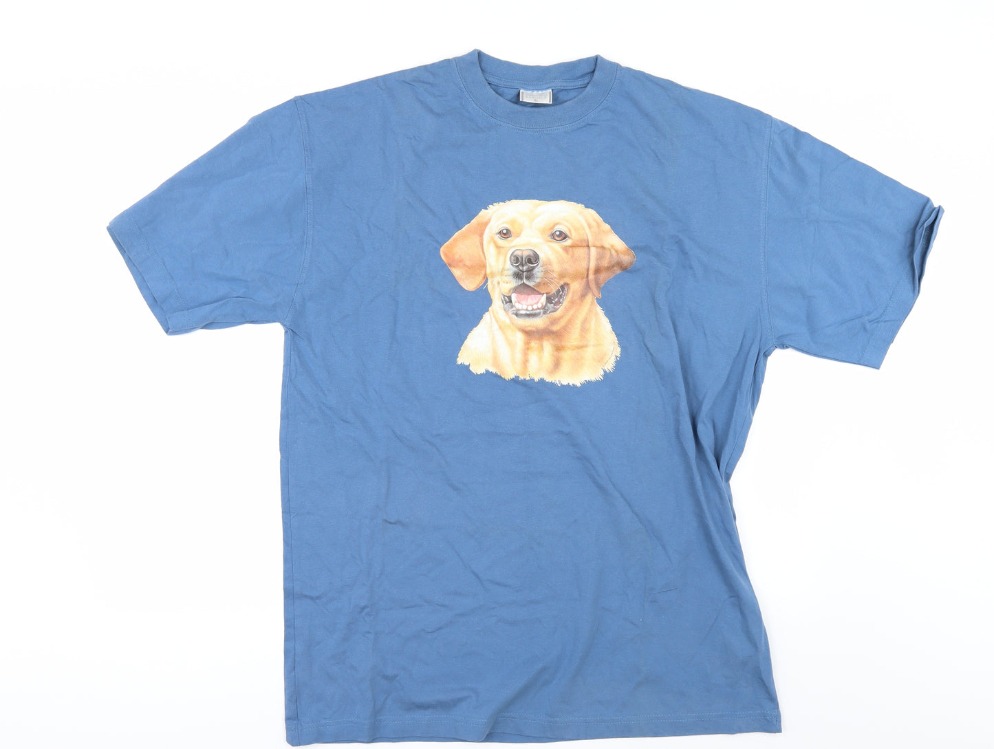 modren casuals Mens Blue    T-Shirt Size XL