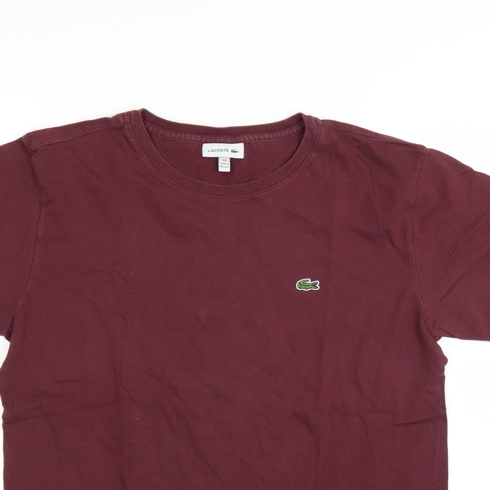 Lacoste Boys Purple   Basic T-Shirt Size 16 Years