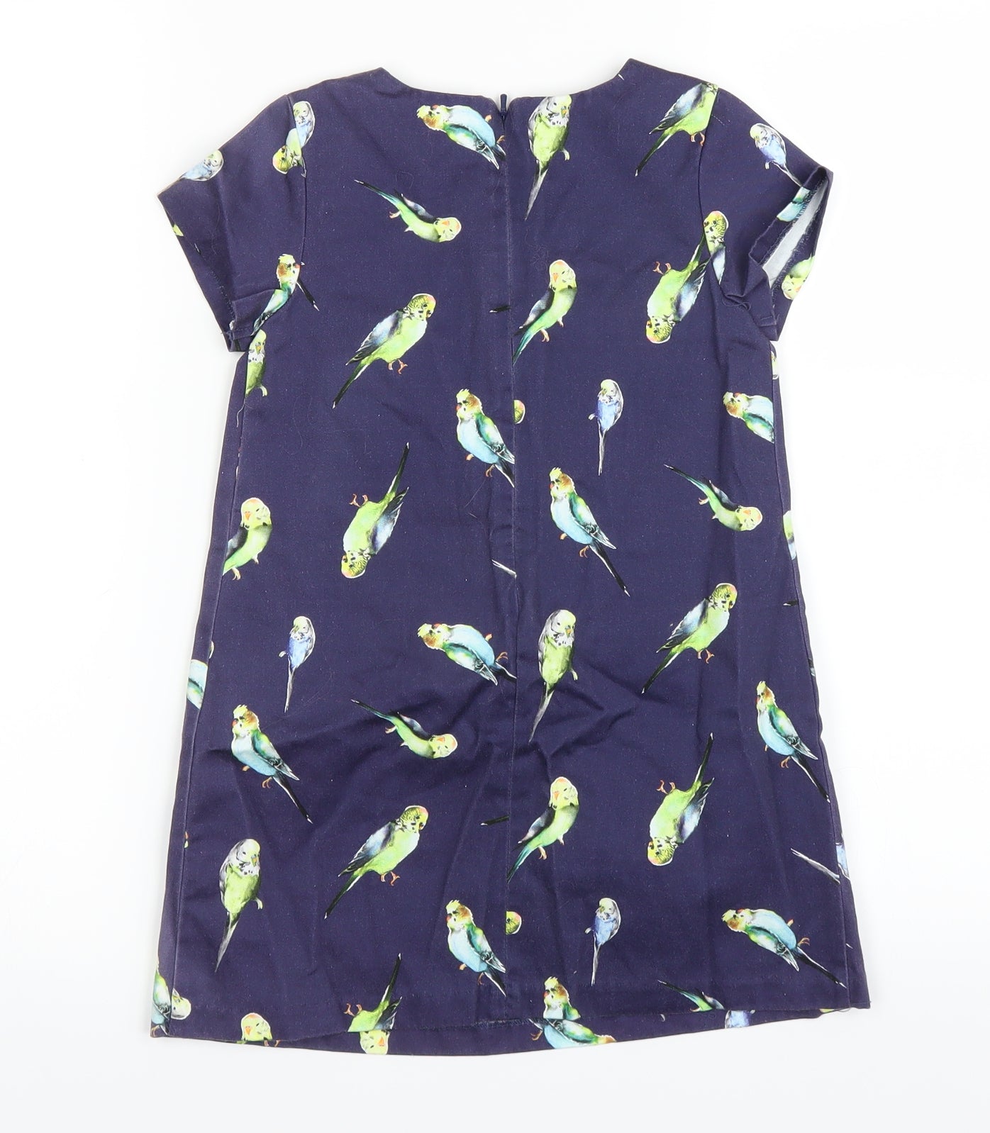 NEXT Girls Blue   A-Line  Size 4-5 Years