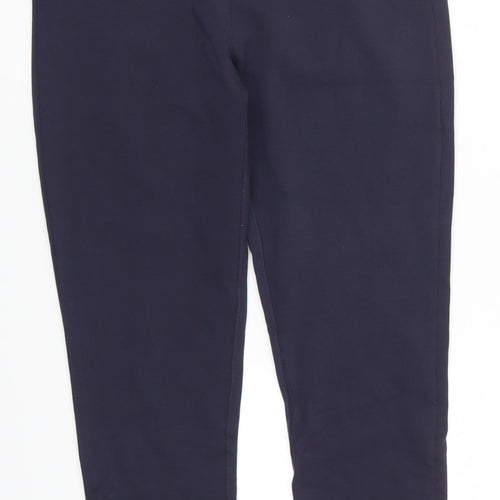 Preworn Womens Blue   Carrot Leggings Size 30 in L26 in