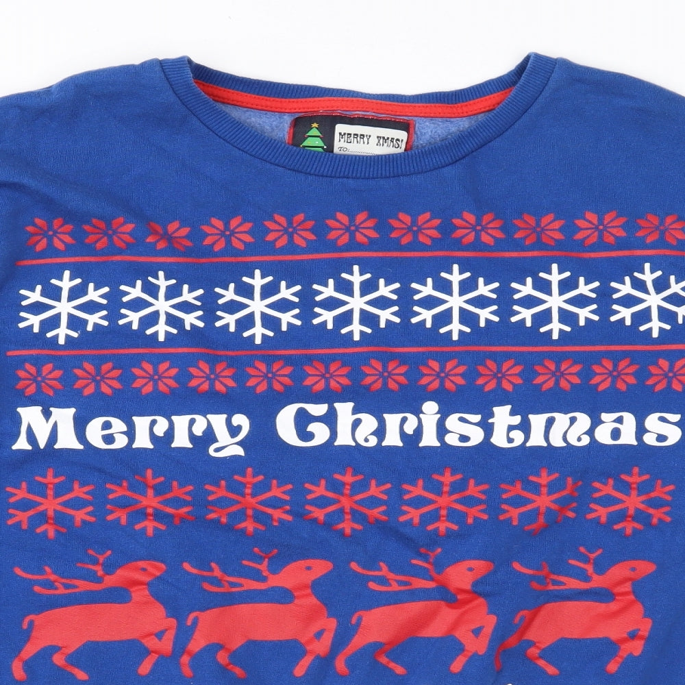 Preworn Womens Blue   Pullover Sweatshirt Size L  - Christmas