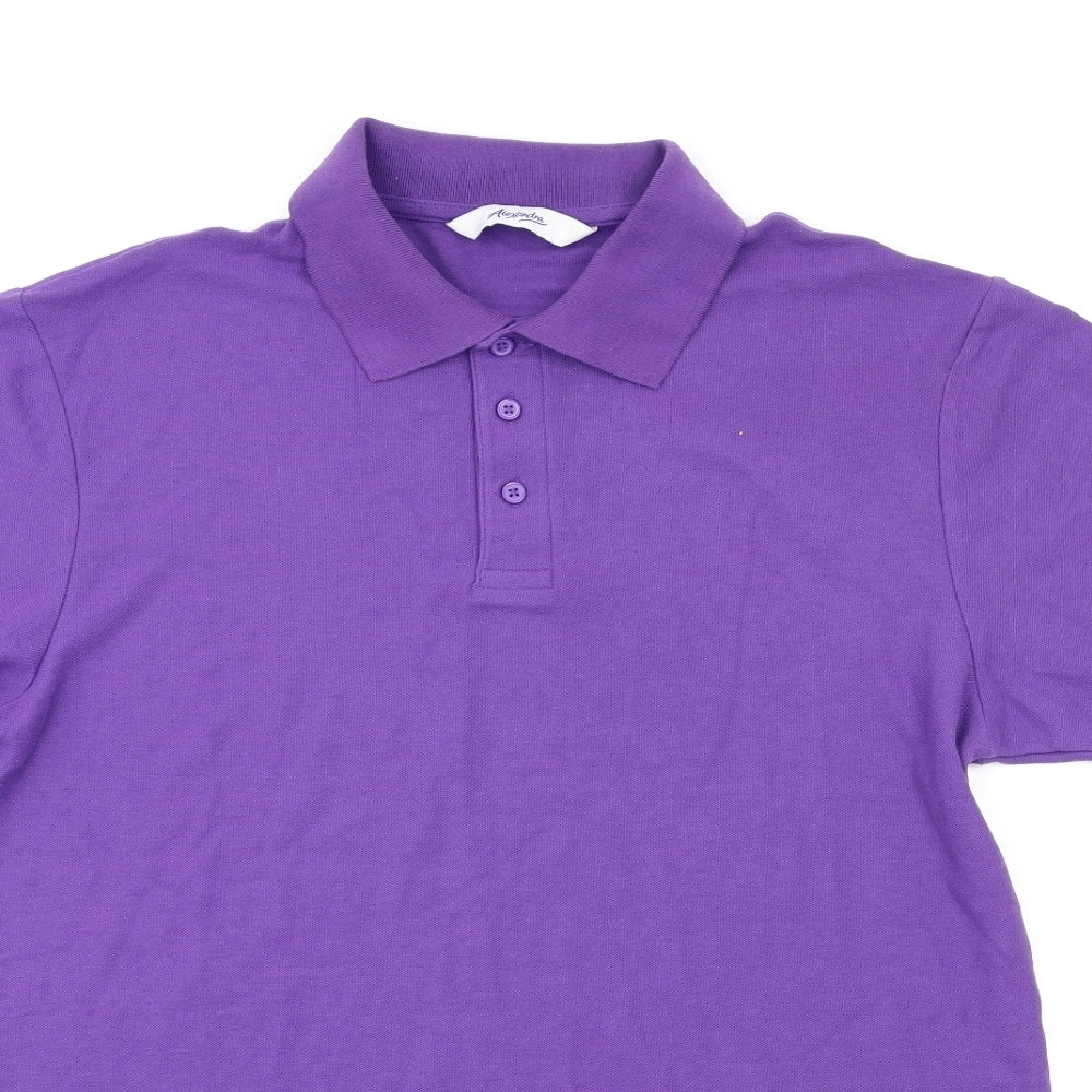 Alexandra  Mens Purple    Polo Size L