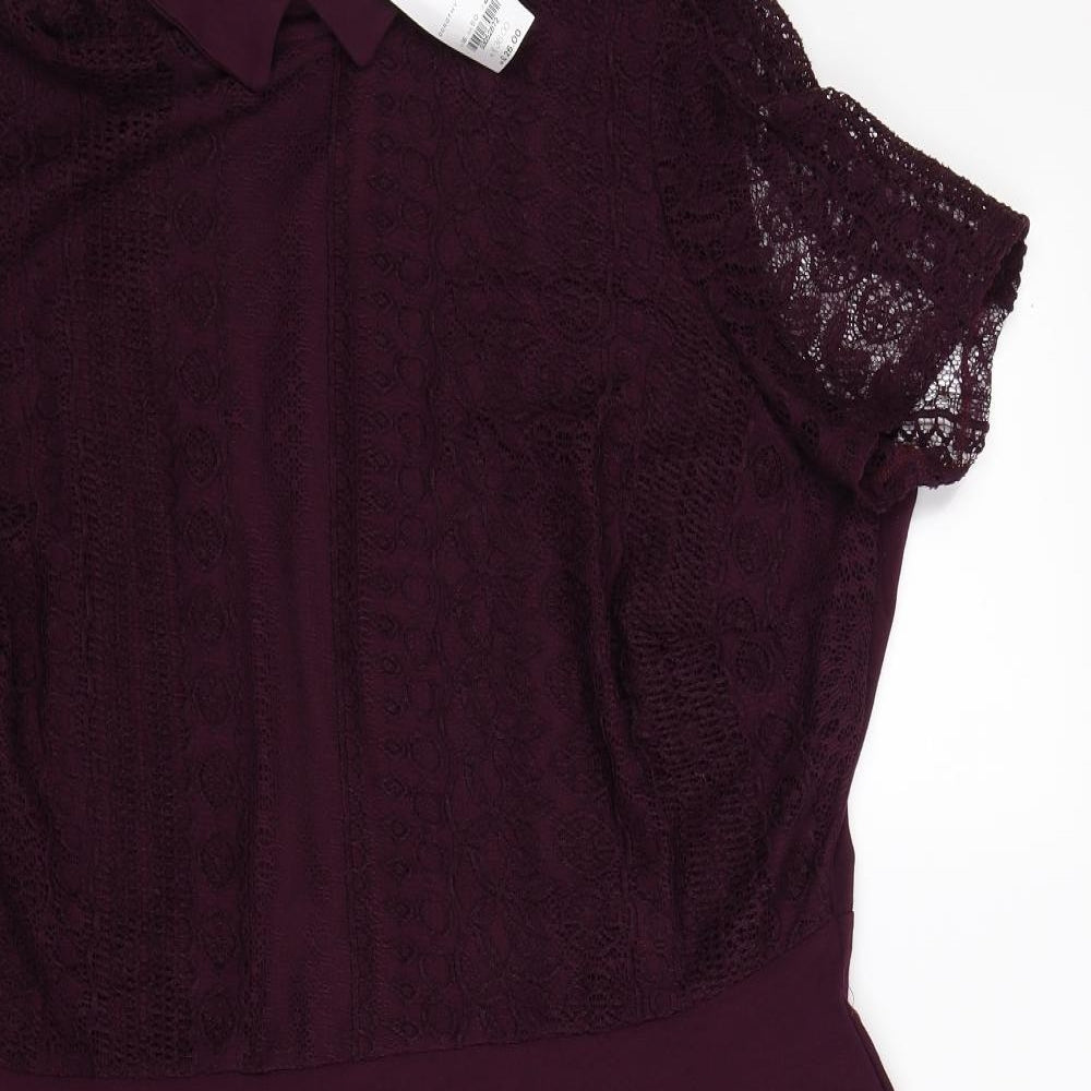 Dorothy Perkins Womens Purple   Fit & Flare  Size 22