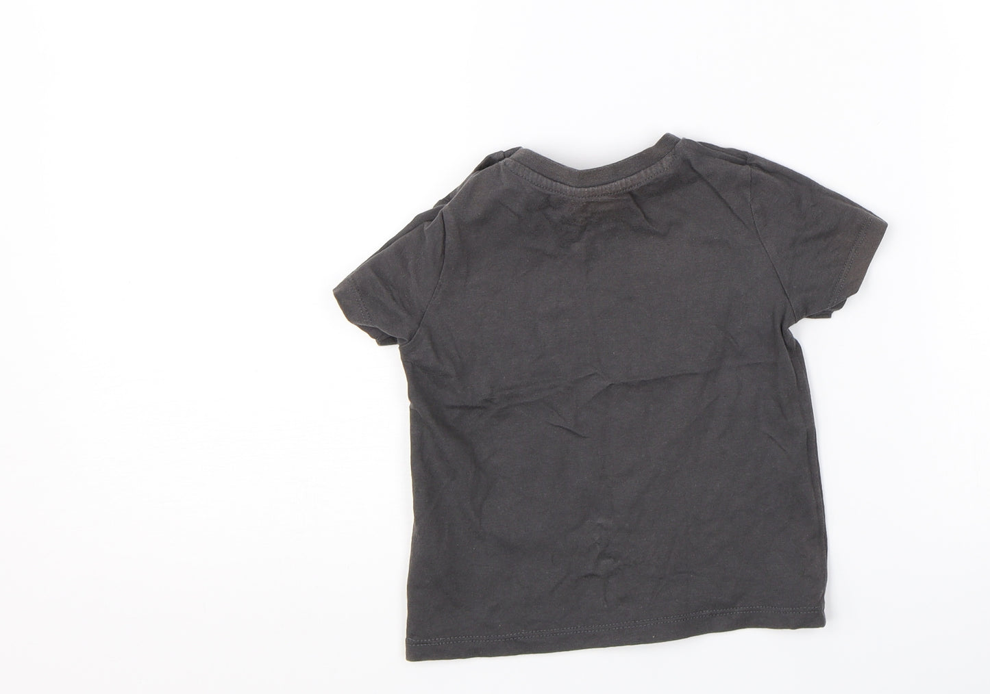 F&F Boys Grey   Basic T-Shirt Size 12-18 Months  - Tiger slogan